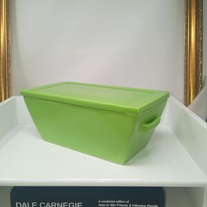Green Ceramic Serveware Dish